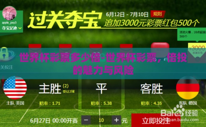 世界杯彩票多少倍-世界杯彩票，倍投的魅力与风险