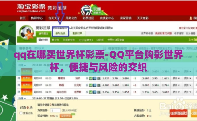 qq在哪买世界杯彩票-QQ平台购彩世界杯，便捷与风险的交织