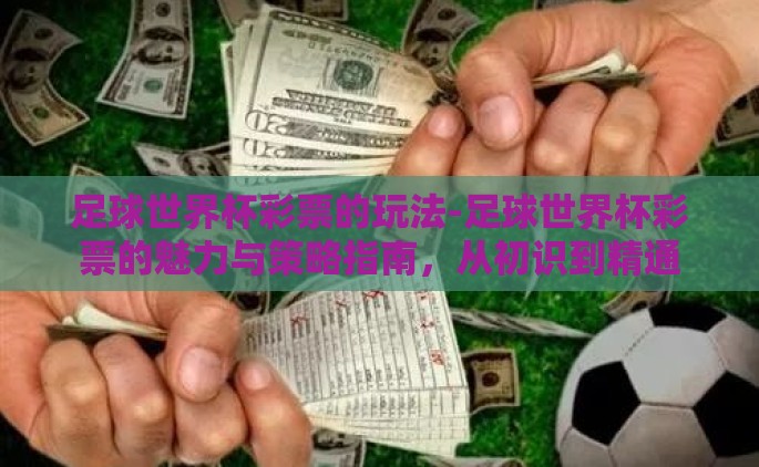 足球世界杯彩票的玩法-足球世界杯彩票的魅力与策略指南，从初识到精通