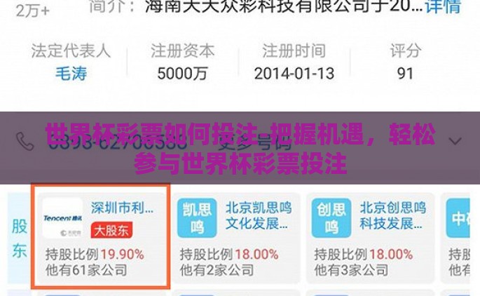 世界杯彩票如何投注-把握机遇，轻松参与世界杯彩票投注