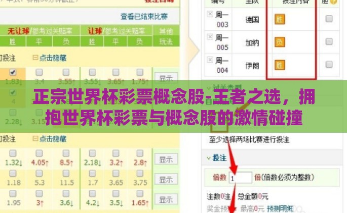 正宗世界杯彩票概念股-王者之选，拥抱世界杯彩票与概念股的激情碰撞