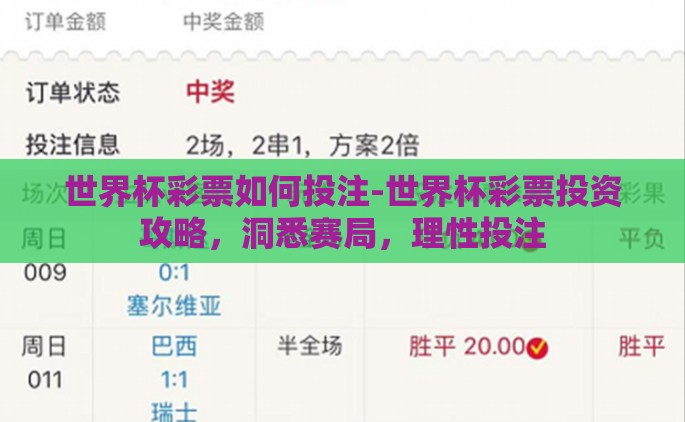 世界杯彩票如何投注-世界杯彩票投资攻略，洞悉赛局，理性投注