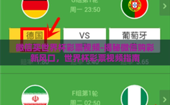 微信买世界杯彩票视频-揭秘微信购彩新风口，世界杯彩票视频指南